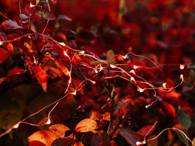 Les teintes claires, votre allié secret pour un automne lumineux