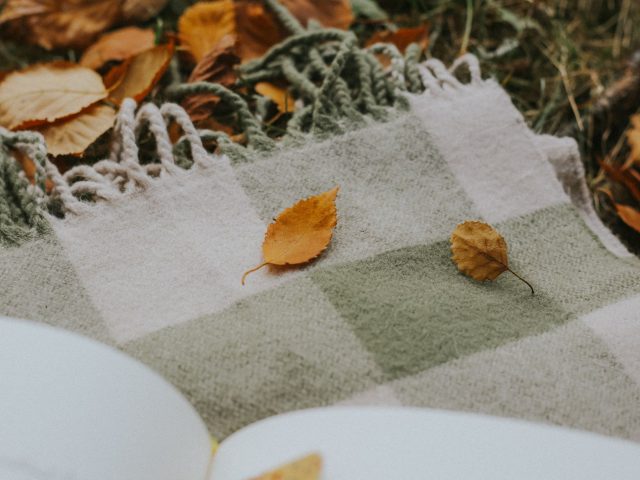 Comment transformer votre salon avec des plaids cet automne ? Nos astuces